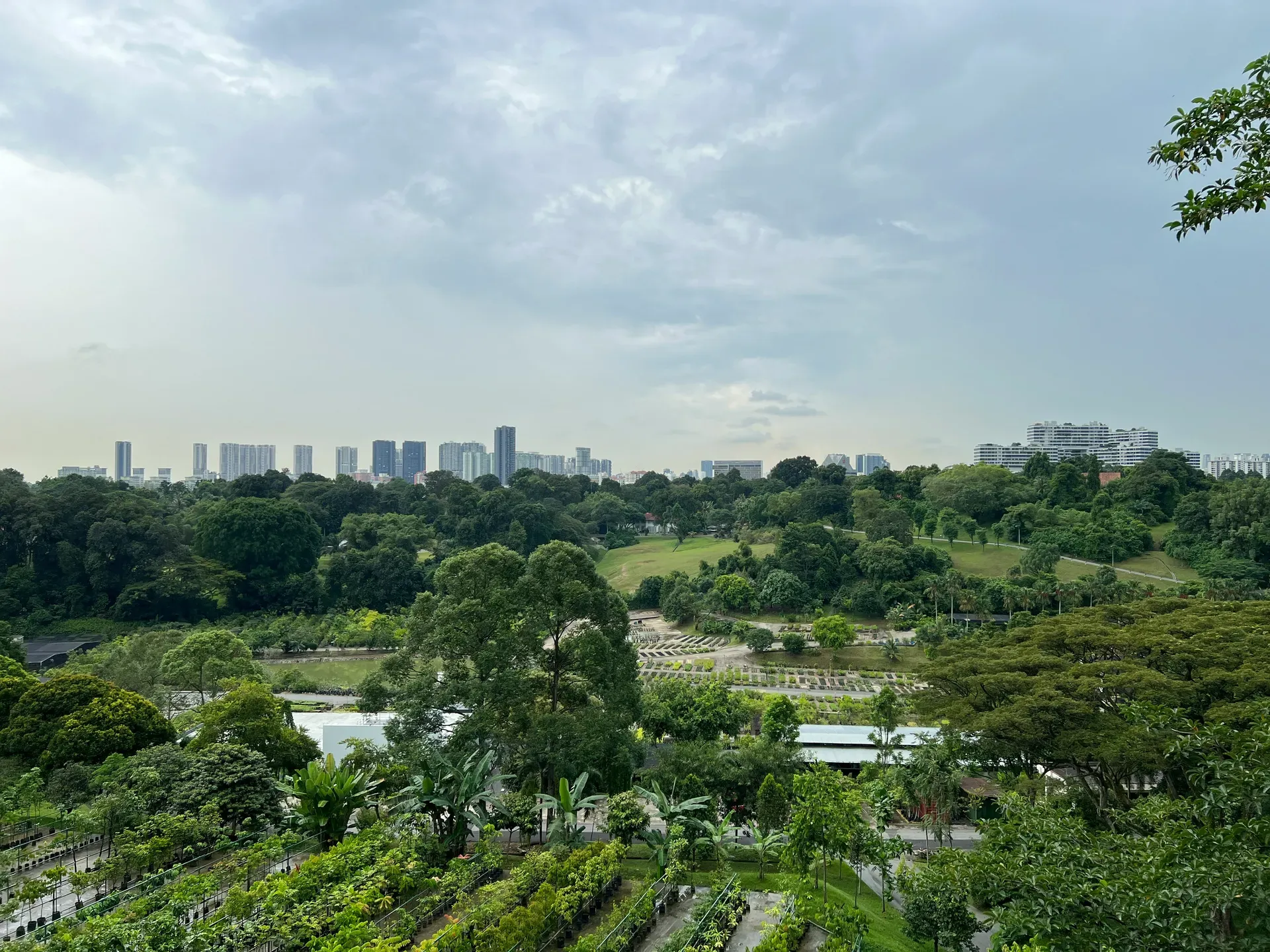 How to Strengthen Your Income and Community Through Sustainable Livelihoods